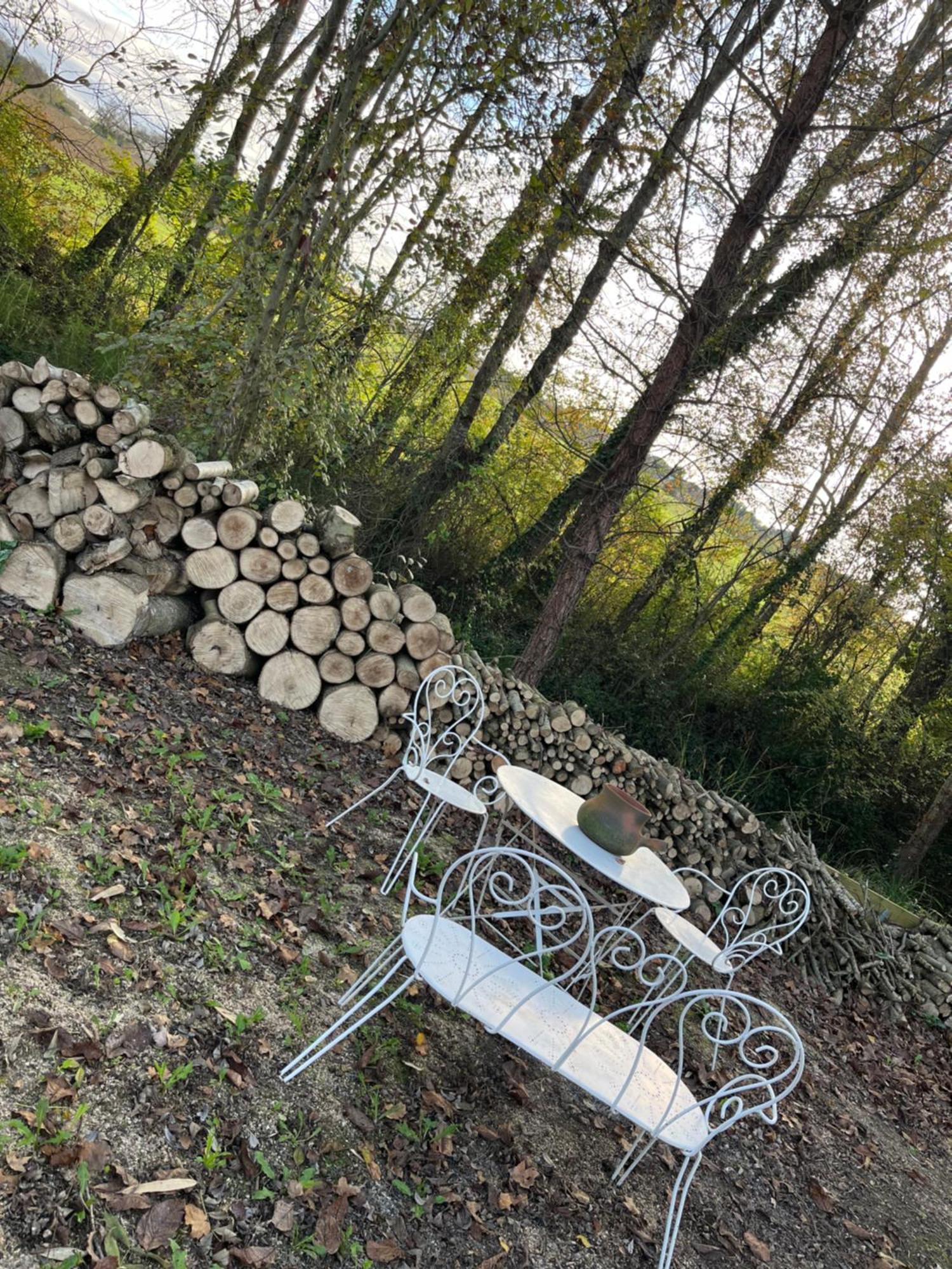 Chez Mamie Villa LʼIsle-Jourdain Екстериор снимка